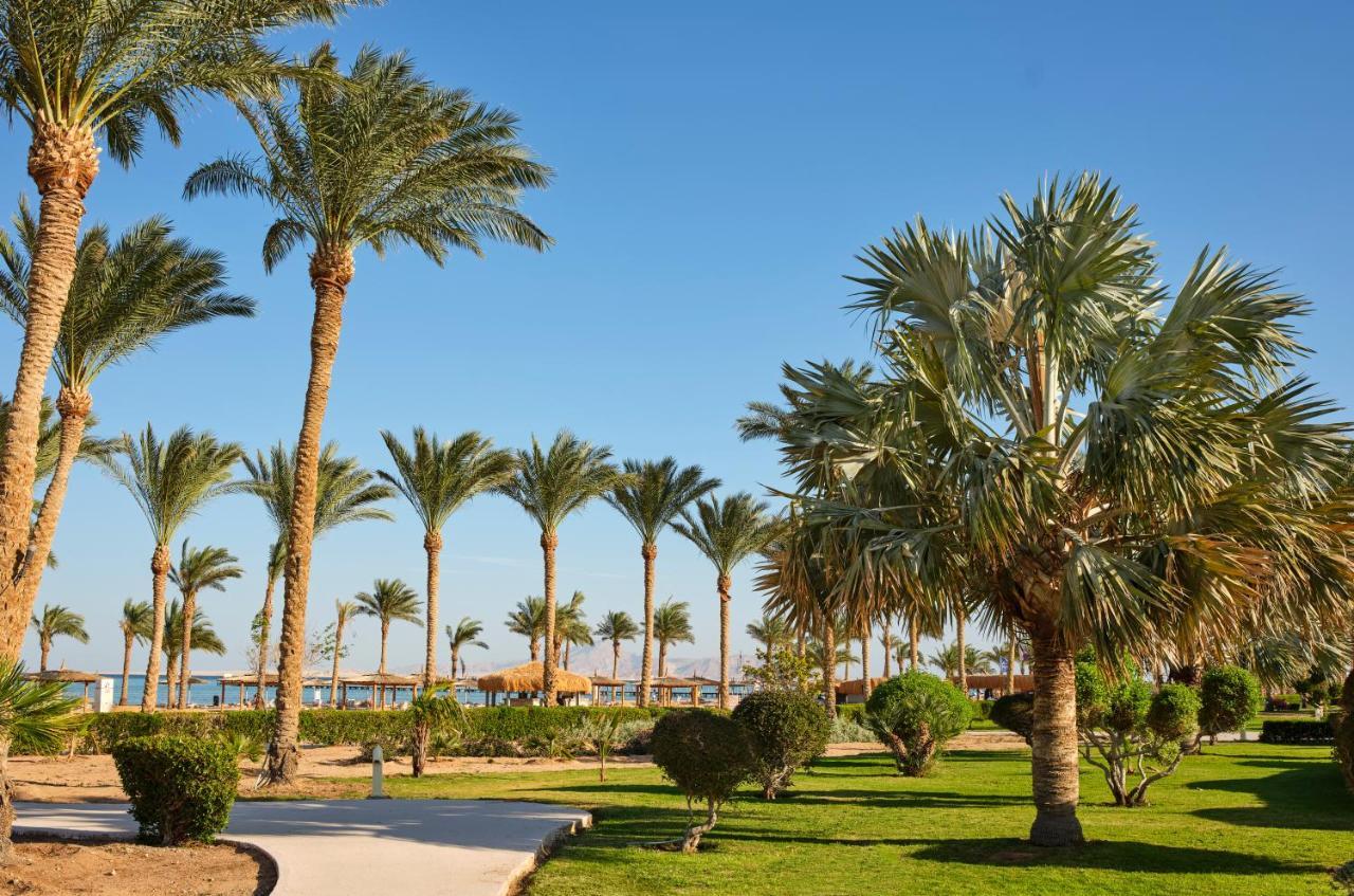 Üdülőközpont Coral Sea Waterworld Sheikh 5*
